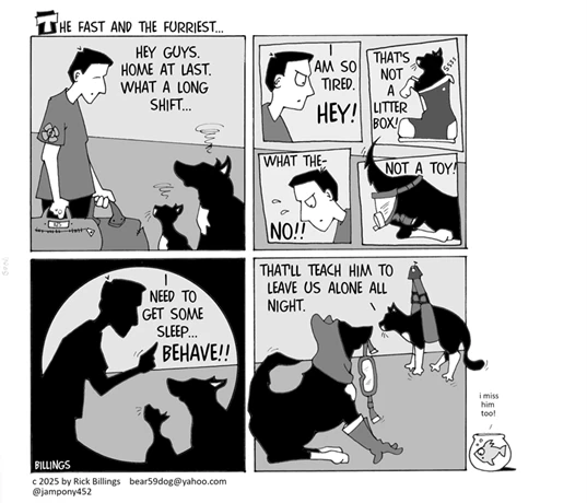 story image