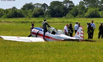 Small plane lands in cow pasture