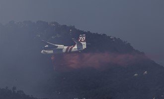 Trail Fire burn 12 Acres