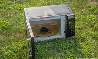 Microwave Fire in Delmar