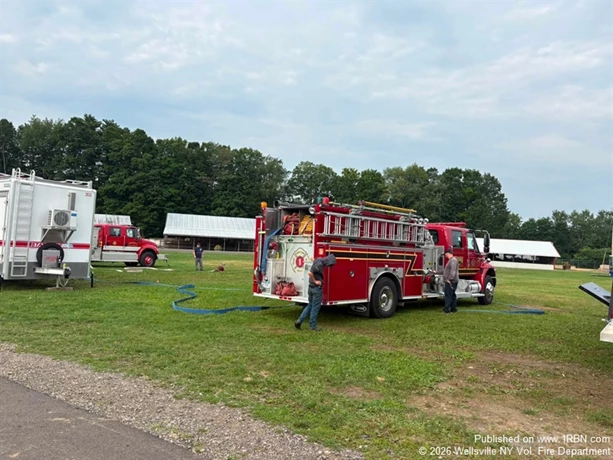 story image