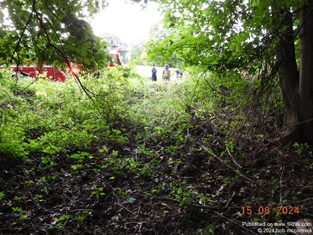 story image