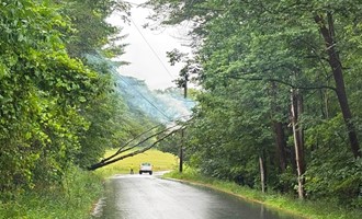 Proctorsville Crews Respond to Tree Fire on Power Lines