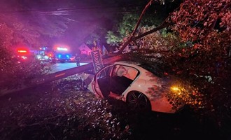 Vehicle Slams Into Tree in Early-Morning Baldwin Crash