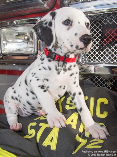 Mystic Island Vol Fire Co. Welcomes a New Member