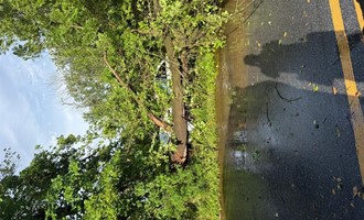 Six Transported After SUV Crash in Honey Brook Township