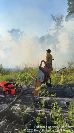 story image