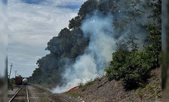 Afternoon Response Near Haggerty Highway: Attleboro Crews Battle Two-Acre Brush Fire