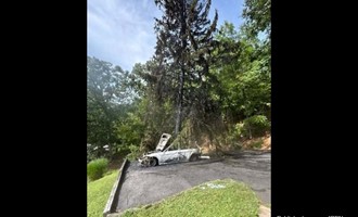 Structure Fire Call Downgraded: Green Knoll Firefighters Rapidly Subdue Vehicle and Vegetation Blaze