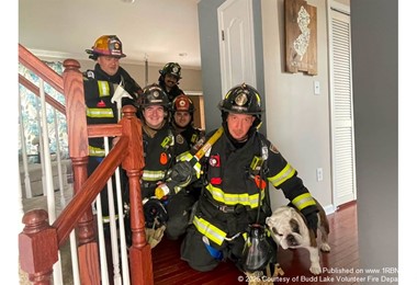 Bulldog Makes Surprise Appearance at Budd Lake Fire Call