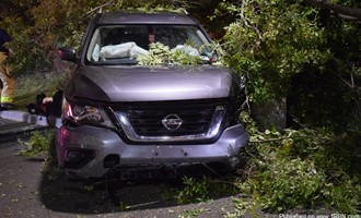 Vehicle up over hill into tree
