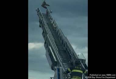 Bay Shore Firefighters Deploy Aerial Ladder to Free Seagull Trapped in Sunrise Highway Wires