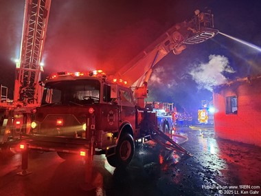 Old dogs can still fight!