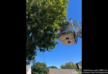 Aerial Operation Saves Trapped Pet Surrounded by Power Lines in Beaver County