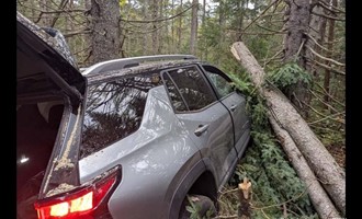 Seamless Inter-Agency Coordination on Blue Ridge Road Involves Fire, EMS, and Police