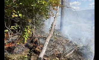 Quick Attack Knocks Down Woods Fire Caused by Fallen Line on Fords Brook Road