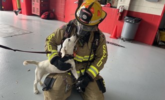 SERVICE DOGS TRAIN WITH SEMINOLE COUNTY FIRE TO FAMILIARIZE WITH FIRST RESPONSE SIGHTS AND SOUNDS