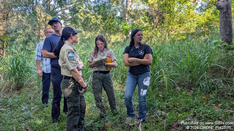 Squads assessing structures.