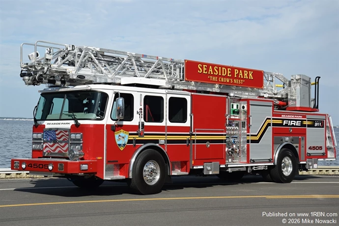 Seaside Park Ladder 4505