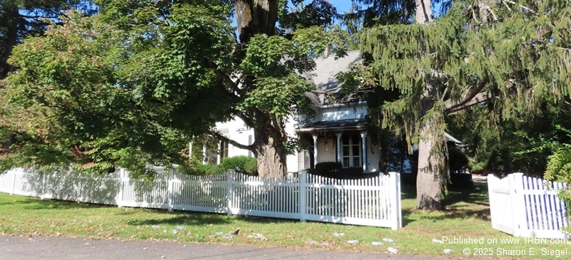 story image