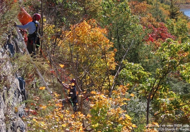 A high angle rescue safely recovered a male subject from the steep Hawks Nest cliff below this month.