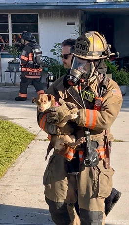 FMFD Captain Chandler carries a rescued dog out of the home to reunite it with its family.