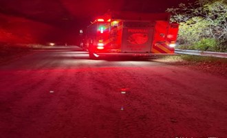 Patient Successfully Extricated After Vehicle Crash in 100 Block of Ladd Road