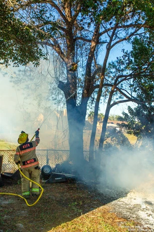 Firefighter wets down the tree that was smoldering.