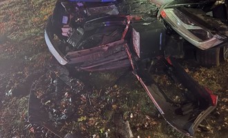 Swift Action by Fire and Rescue Crews After Car Strikes Tree