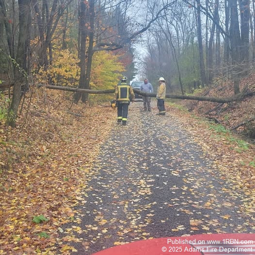 Adams, Lorraine Fire Clear Tree Blocking Road