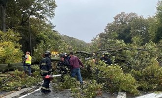 Lakeview Firefighters Assist with Parkway Tree Removal