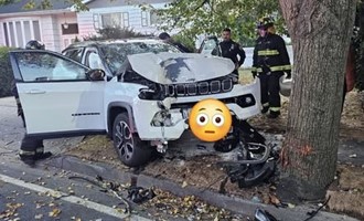 Lakeview Firefighters Respond to Car vs. Tree Incident