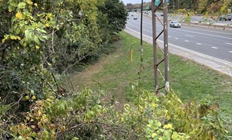 Car Leaves Southern State Parkway; Multiple Patients Evaluated