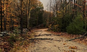 High Winds Cause Road Closures and Safety Concerns in New Ipswich