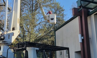 Upper Makefield Thanks T&T Tree Services for Lending a Hand