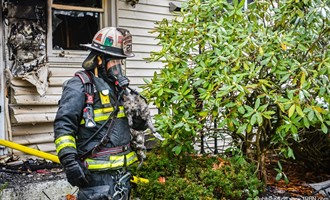 Cat Rescued From A Colonie Home With Heavy Fire On Arrival