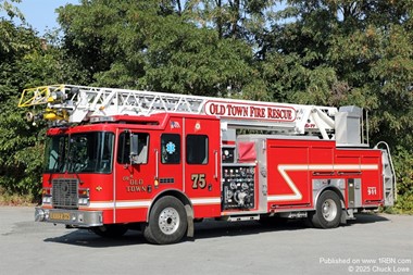 Old Town Ladder 375