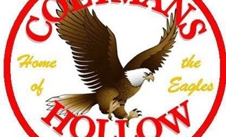 No Injuries Reported After Vehicle Strikes Deer on SR 143