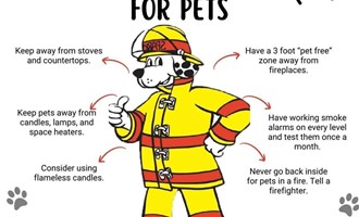 Keep Pets Safe With Simple Fire Safety Steps
