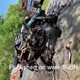 story img
