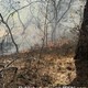 story img