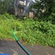 story img