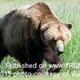 story img