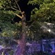 story img