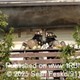 story img