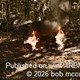 story img