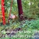 story img