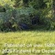 story img