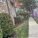 story img