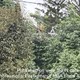 story img